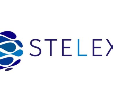 Stelexy - More than just a social network